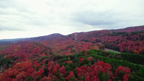 torre de teléfono celular aislada en el medio del bosque durante la temporada de otoño