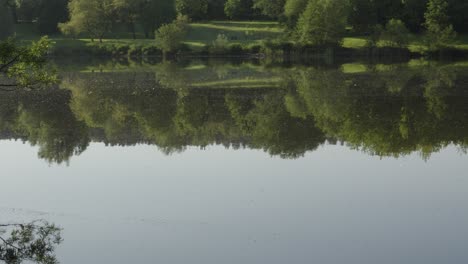 Toma-Panorámica-A-Través-Del-Tranquilo-Lago-Tranquilo-A-Primera-Hora-De-La-Mañana.