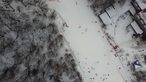 Deporte-De-Esquí,-Nieve-Invernal.-árboles-En-El-Bosque-Cubierto-De-Espectáculo.-Frío-Invierno-Nevando.-Estación-De-Esquí.-Ucrania,-Kiev