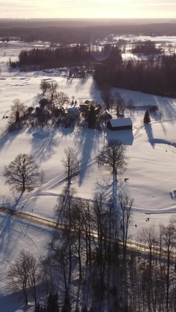 Vertical drone footage over Krimulda, Latvia shows a snowy countryside bathed in sunset light. Long tree shadows stretch across the white fields as warm tones blend with the cold winter landscape.