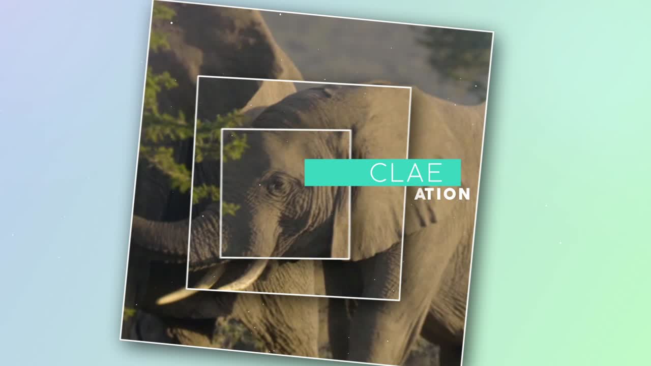 Beautiful Sunset Beach and Fishing Video