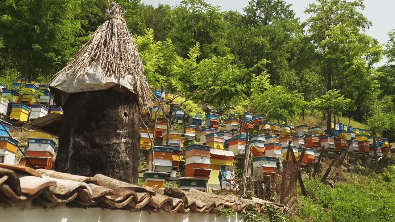 empujar hacia colmenas escalonadas en una granja de abejas melíferas en la bulgaria rural