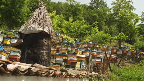 push shot towards tiered hives at honey bee farm in rural bulgaria