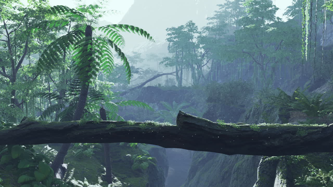 el valle de la selva lluviosa brumosa