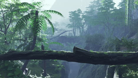 el valle de la selva lluviosa brumosa
