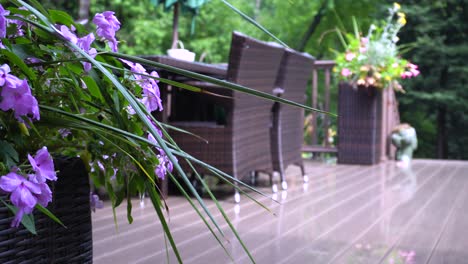 Suburban-deck-with-lush-background-with-a-violet-look