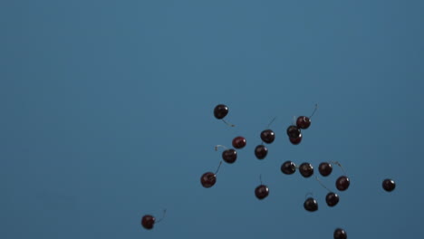cherries falling on a blue background