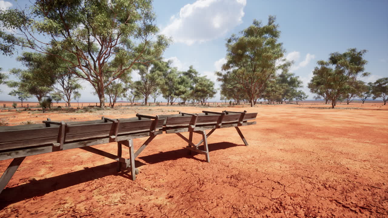 사바나 의 전통적 인 나무 수로