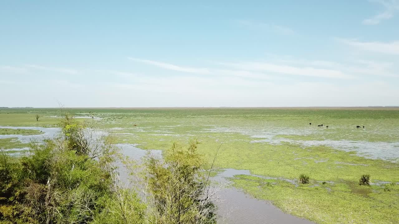 vista aérea de un campo de cultivo inundado