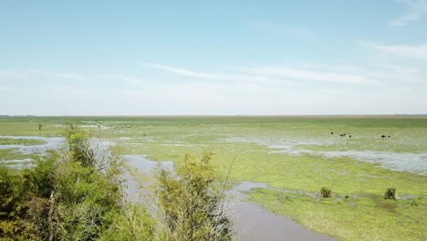 Vista-Aérea-De-Un-Campo-De-Cultivo-Inundado