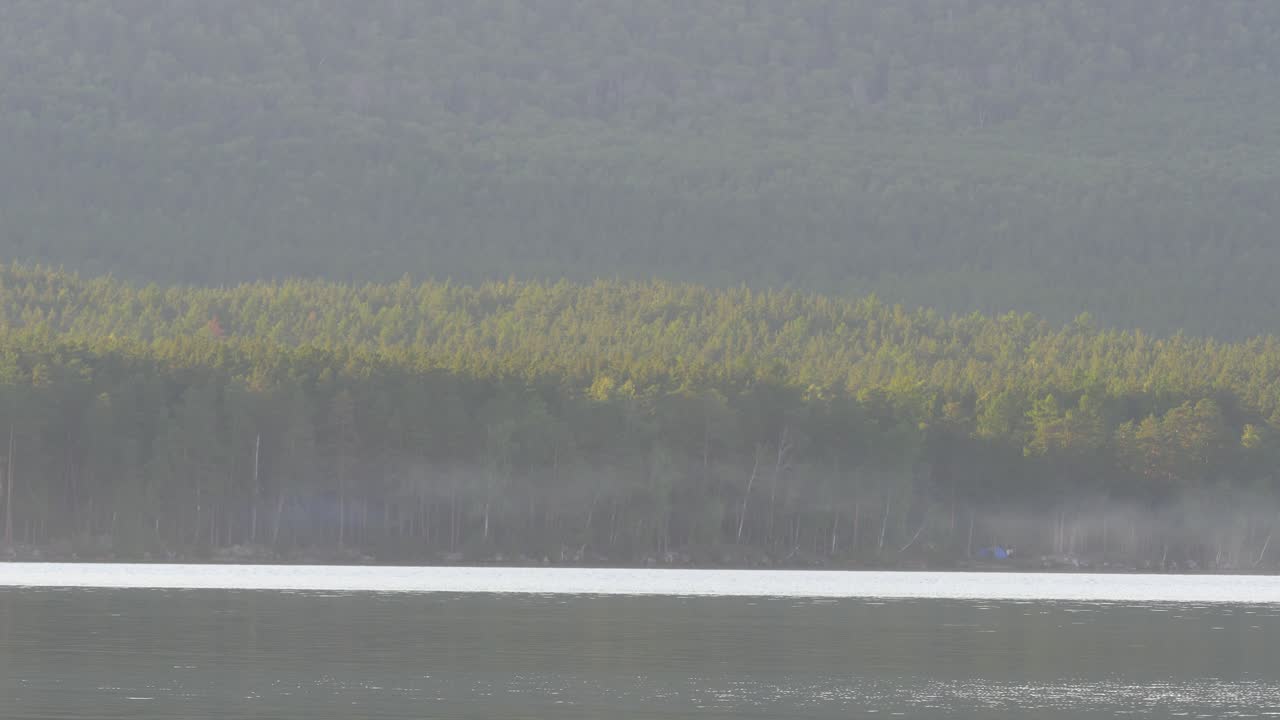 안개 숲과 호수 장면