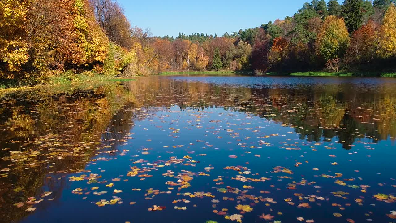 호수 에 있는 다채로운 가을 의 숲 나무