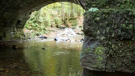 flowing autumn woodland forest stream under stone arch bridge wilderness foliage dolly left