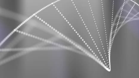 animación de una cadena de adn girando sobre un fondo gris