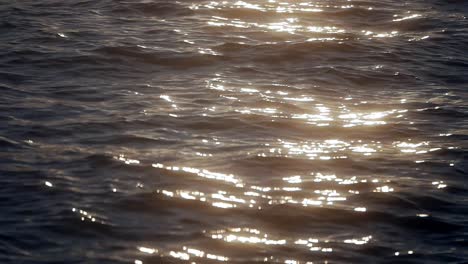 sunlight reflecting on water