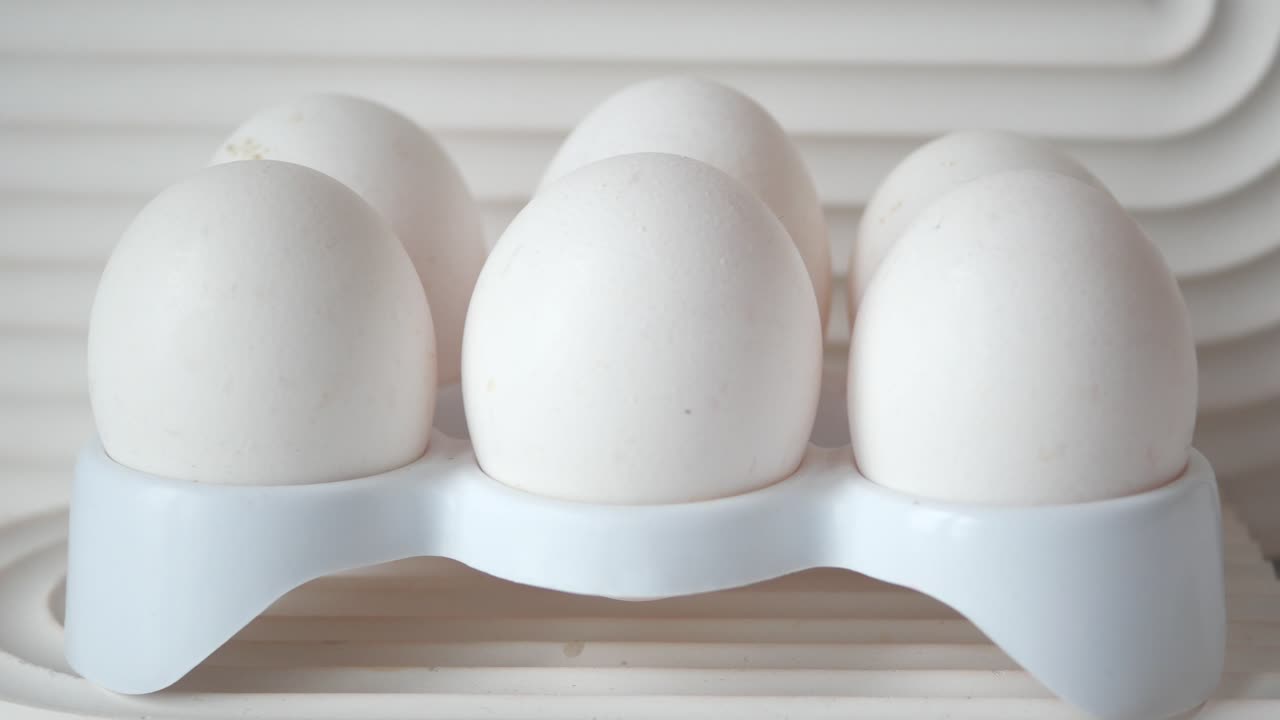 주머니에 넣은 달