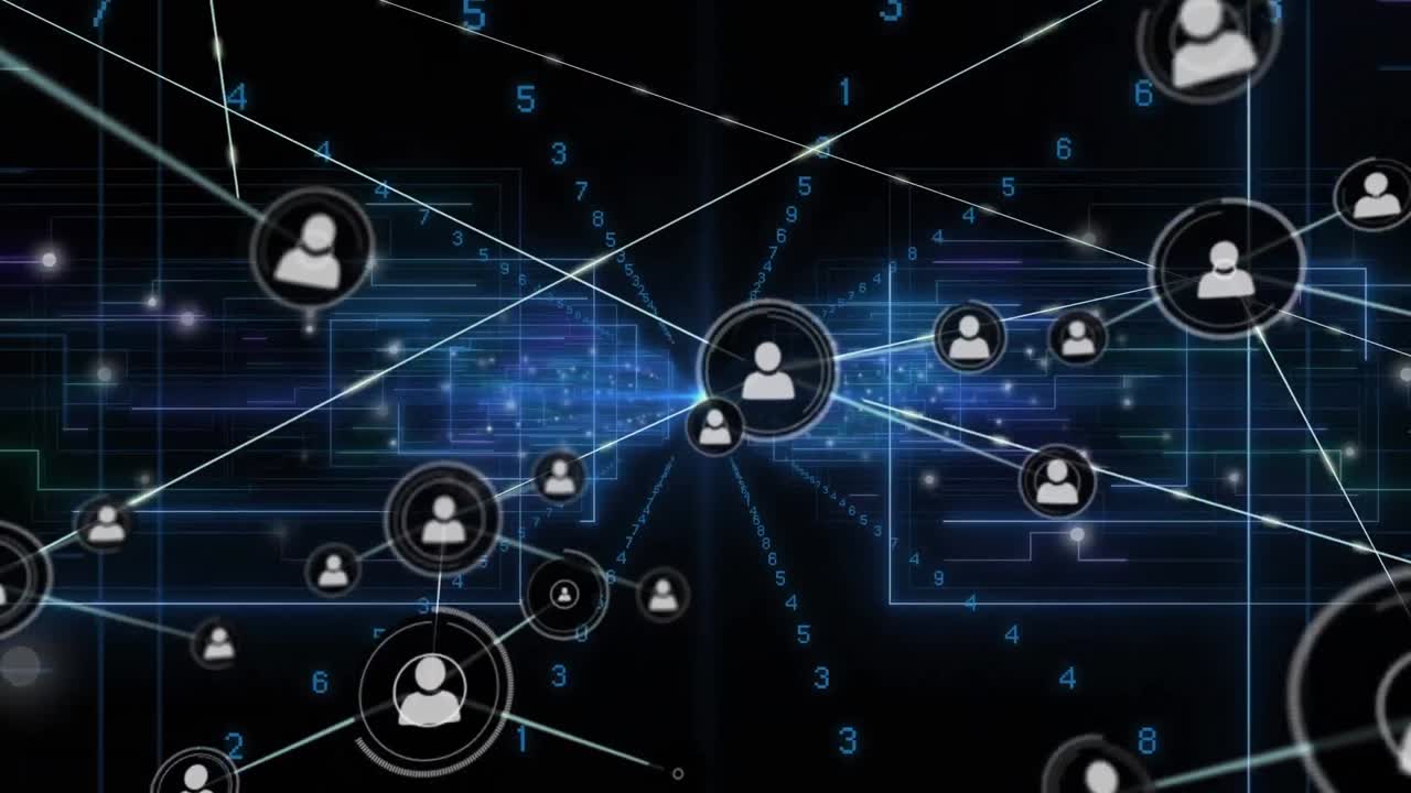 Animation of network of connections over data processing