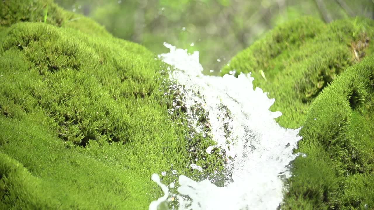 이끼와 물방울이 있는 폭포의 슬로우 모션 샷, wasserfall dreimühlen, eifel