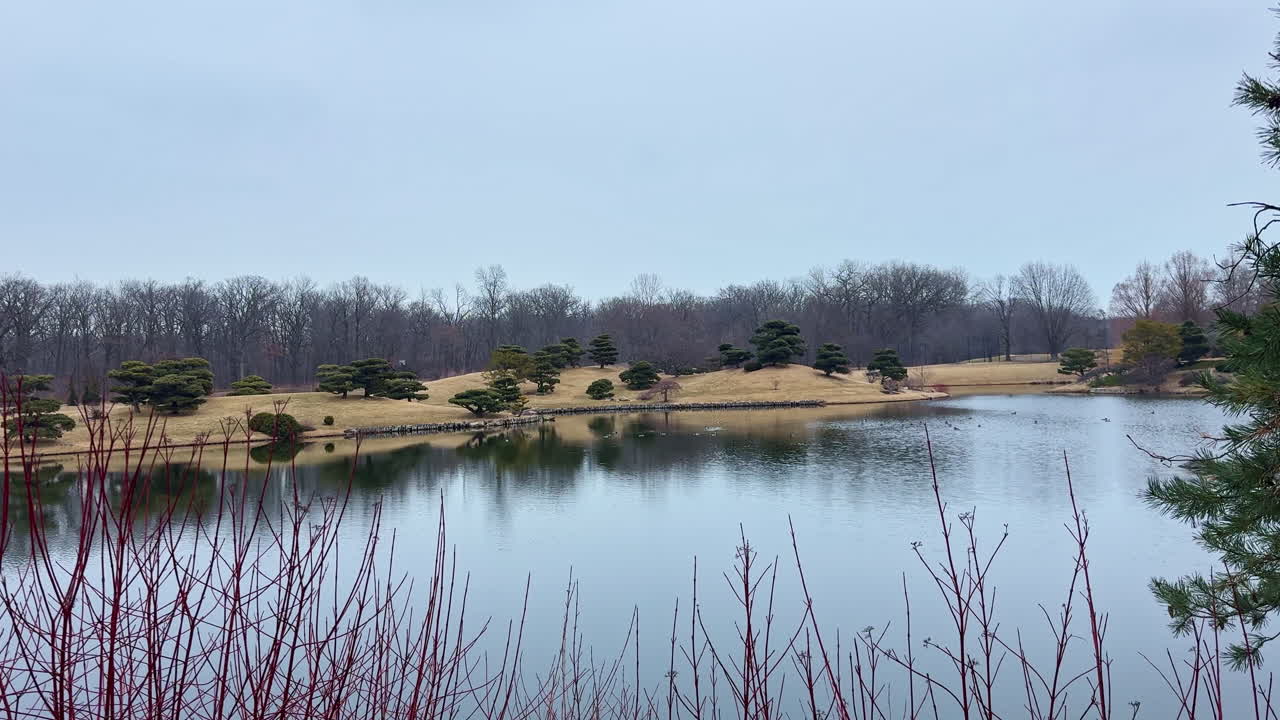 Vista di un lago immobile circondato da alberi ed erba, che rivela motivi naturali in una giornata invernale nuvolosa in un parco.