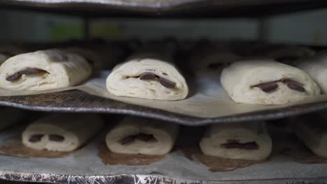 dough pieces of chocolate crossangs on a tray in a bakery