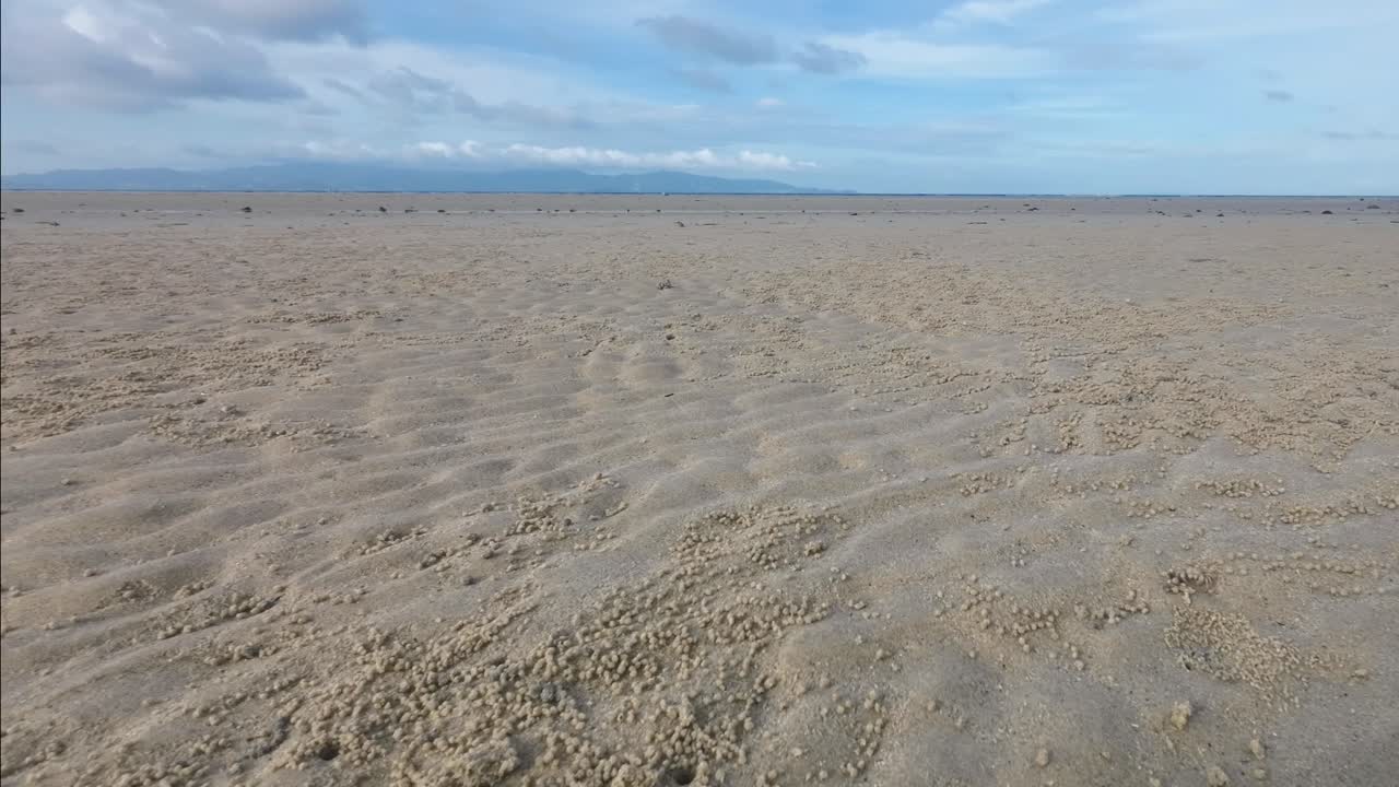 Time lapse showing many sand bubbler crabs on a tropical beach in Koh Phangan forming small round sand pellets during low tide with the shoreline covered in natural crab patterns
