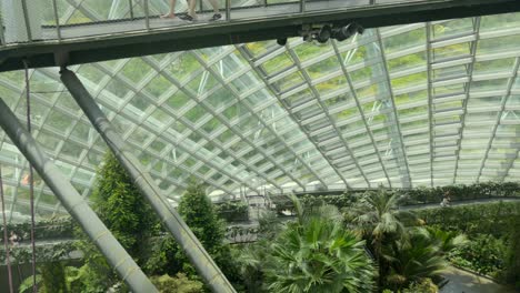 Leves-wide-view-at-Cloud-forest-Gardens-by-the-Bay-Singapore-Monster-leaf