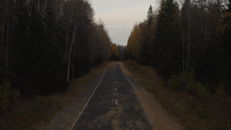 forest asphalt road in yellow autumn leaves