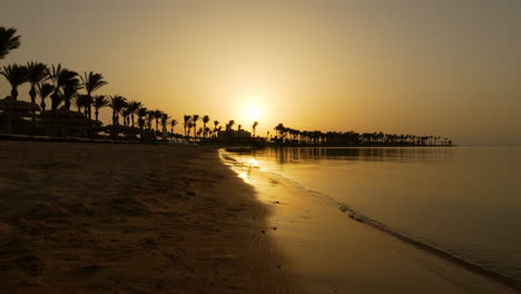 warm sunset with palm tree silhouettes at sentido palm royale resort in hurghada, egypt