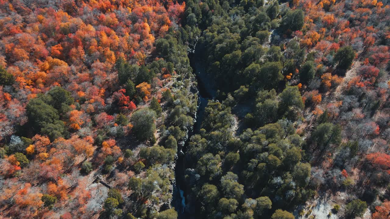 vista aérea siguiendo el camino del río claro en el parque nacional radal 7 tazas de chile