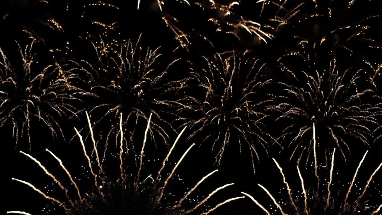 Beautiful fireworks in the night sky
