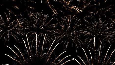 Beautiful fireworks in the night sky