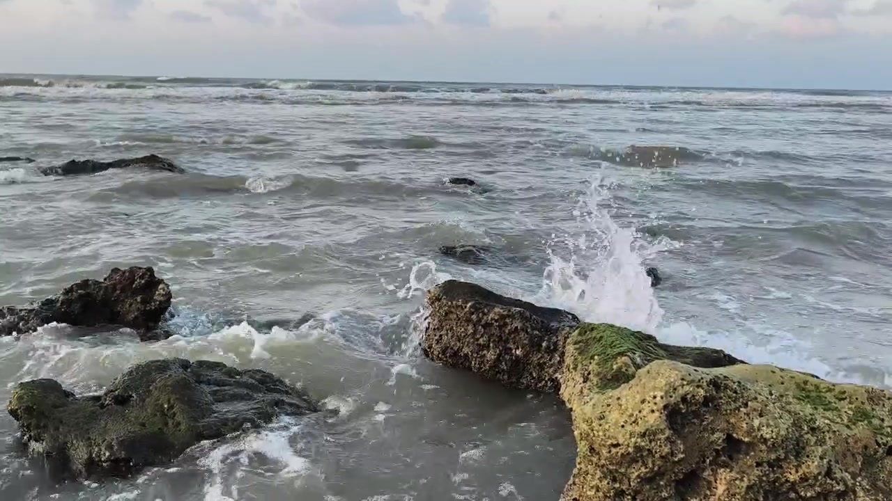 Onde dell'oceano che si infrangono contro rocce muschiose sulla riva