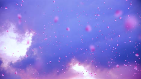 Very-nice-animation-of-"Sakura"-cherry-blossom-petals-being-blown-in-the-wind-against-a-cloudy-background