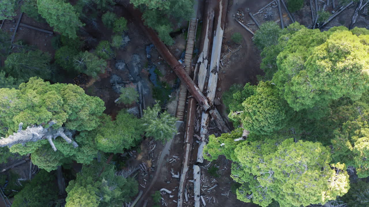 vista aérea de arriba hacia abajo sobre el sendero de 100 gigantes en el bosque nacional de secuoyas