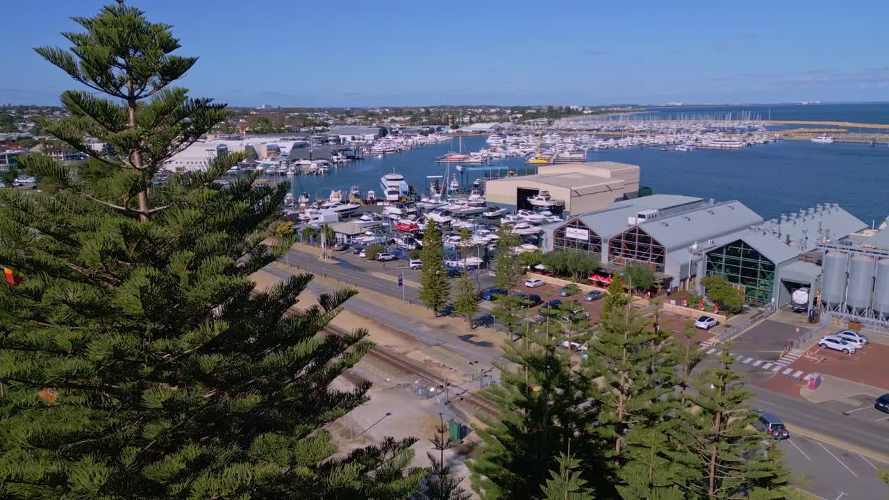 imagen reveladora del puerto de barcos de fremantle a través de los pinos, perth, australia occidental
