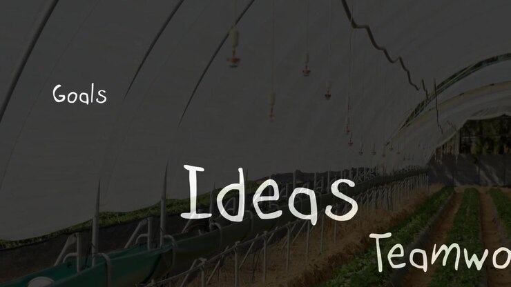 Strat fragment fading in and starting business words growing sliding across polytunnel for planning