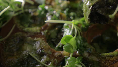 Restaurant-dish-with-baked-snails