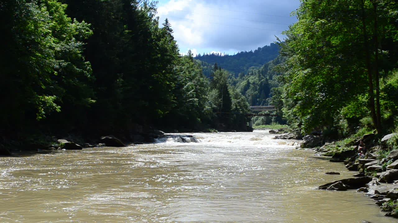 Natura e fiume di montagna. Ruscello in estate.