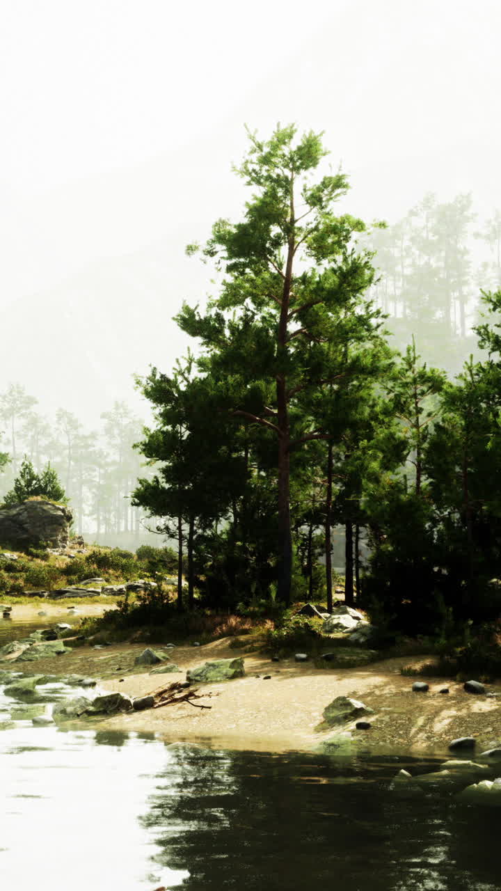 조용한 숲 호수