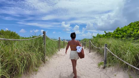 fotografía trasera de una mujer turista caminando por una playa de arena hacia el mar a lo largo de un sendero con arbustos tropicales en miami south beach, florida