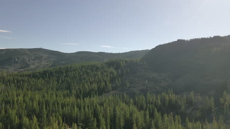 Scenic-aerial-view-on-pine-tree-forest-in-Cascade-Range,-Washington,-USA