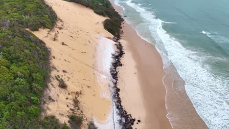 reverse reveal of lady running with her dog and other people enjoying the beach