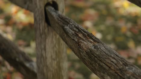 Close-up-of-a-patinaed-wooden-fence-during-a-sunny-fall-day-with-leaves-on-the-ground-in-Gatineau,-Quebec