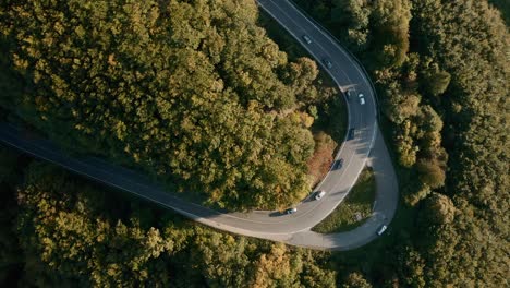 winding road through an autumn forest, cars taking a sharp turn