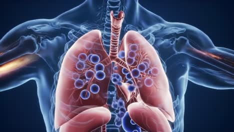 a detailed visual representation of the human respiratory system, focusing on the lungs, bronchi, and alveoli, showcasing their structure and functionality in breathing