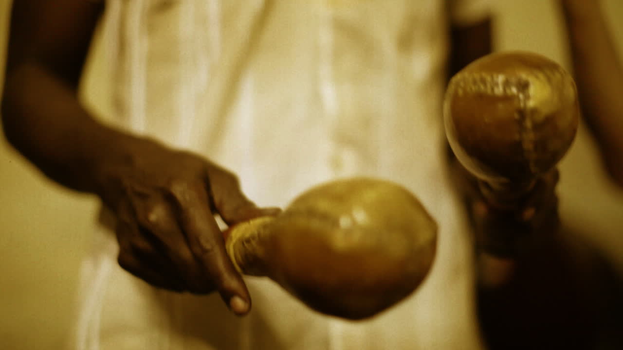 desempeño eco caribe 58