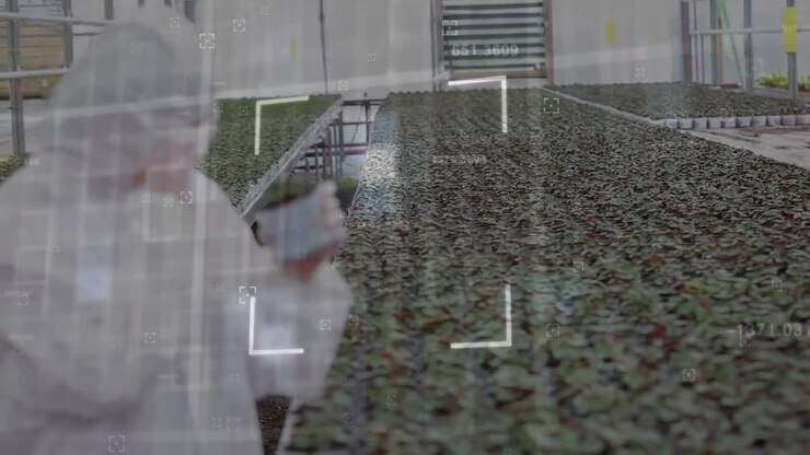 Animation of moving frames over worker with safety suit inspecting plants