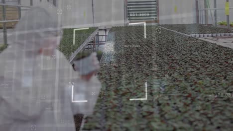 animación de marcos móviles sobre un trabajador con traje de seguridad que inspecciona las plantas