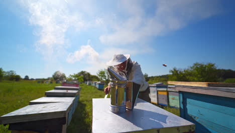 chimney with smoke against blue sky. apiarist works on a bee farm. smoker on a wooden beehive. bees flying and carrying honey into the bee-house.