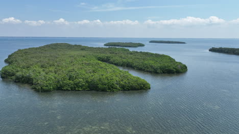 sarasota mangrove key con la cala y las islas circundantes